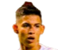 https://img.lingpool.com/img/football/player/256dcd3c814bd8fea3fab644d67a539f.png